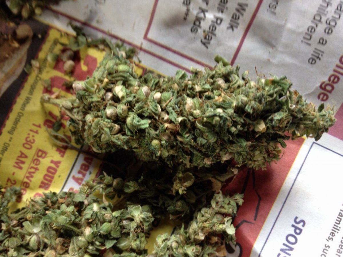 79goldkingthaibud