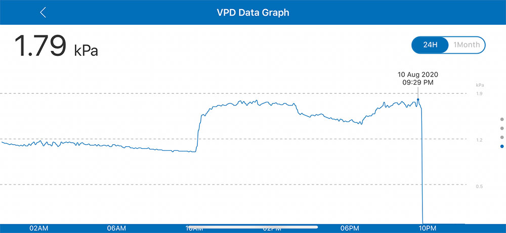 8102020 VPD