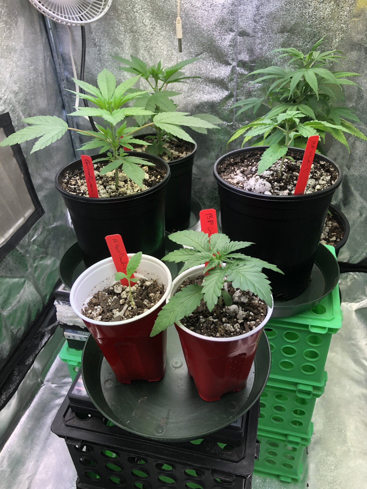85658F71 8562 4CB7 AC87 77E2E930EA59