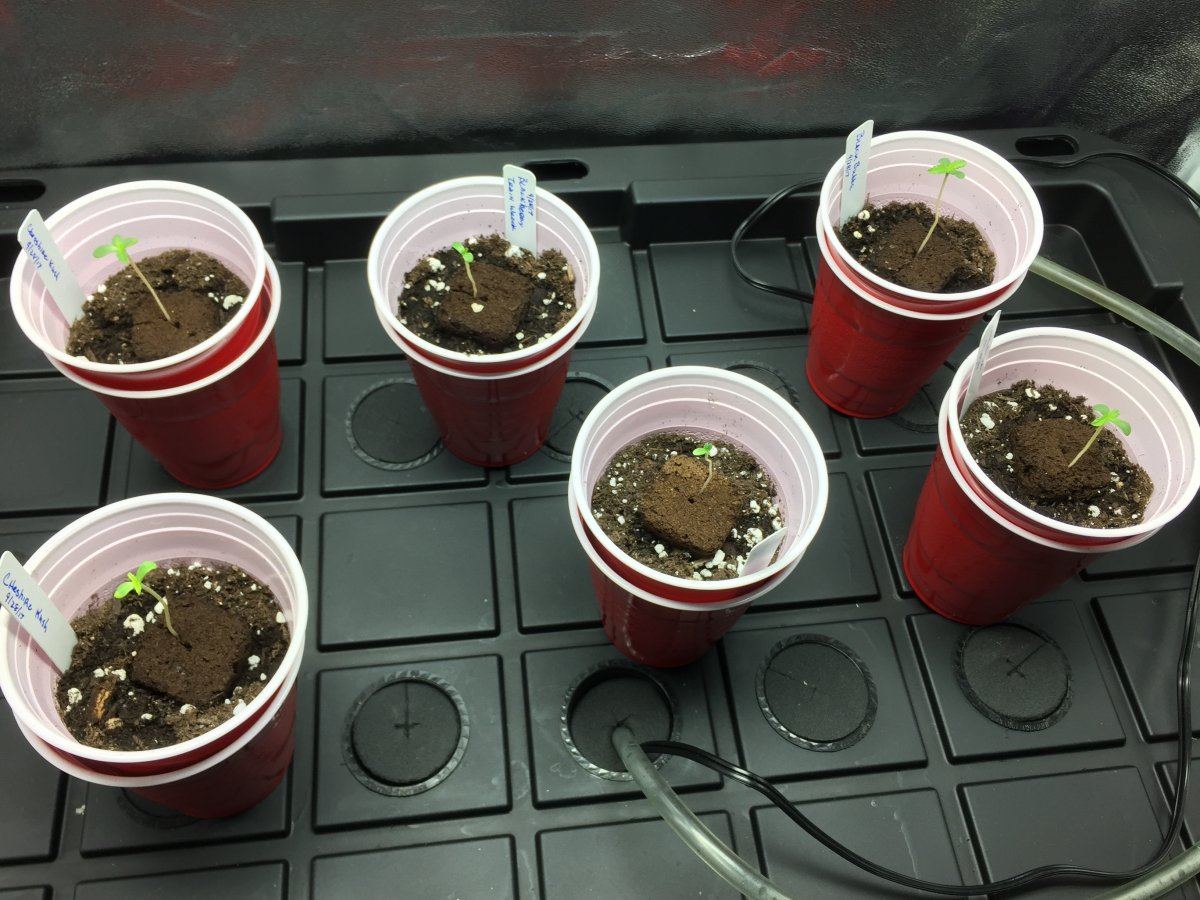 8589A3CB 6AB1 44FB B928 F8FAAA954722