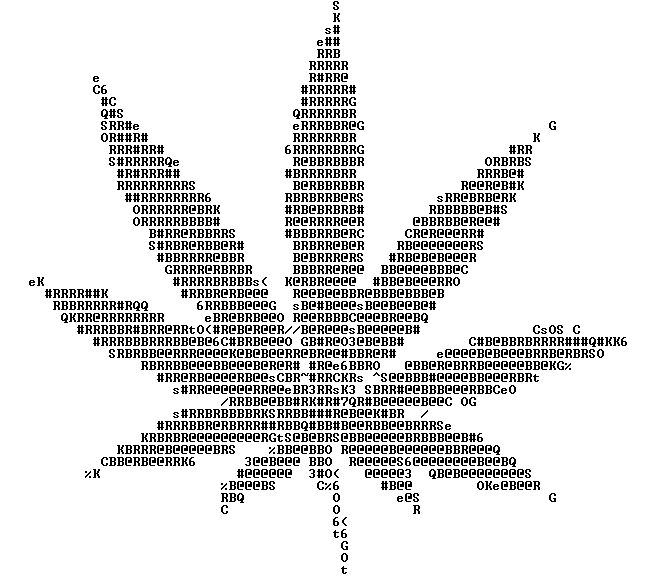 8618A06C 249B 4FCE A2CD A65E67BB851A