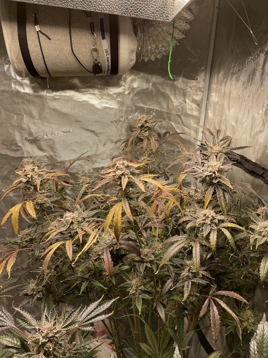 88FF3158 AEB7 49B0 A718 2ACE67B86F82