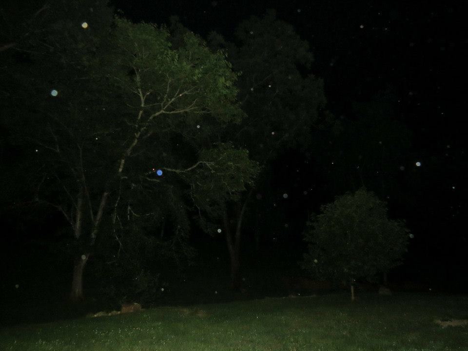 8AAC5AFB C2BB 4ECD A756 8ED379BE9D4A
