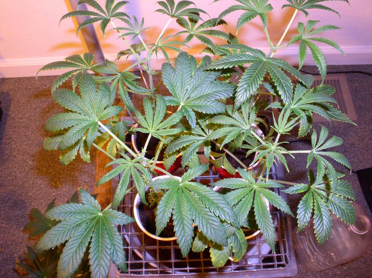 8b