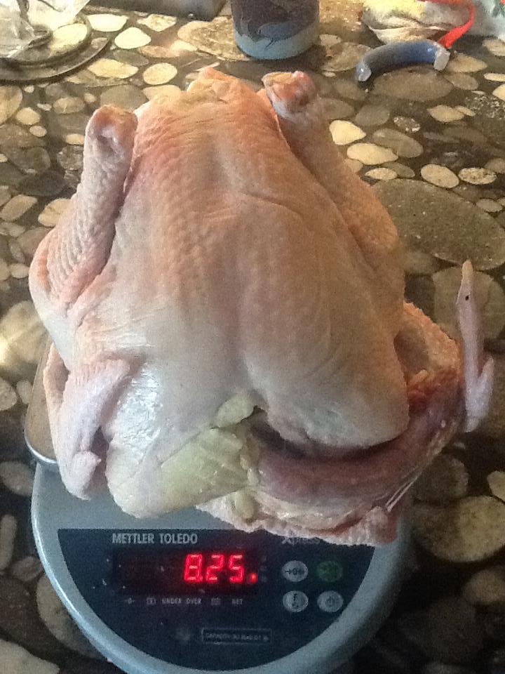 8lber