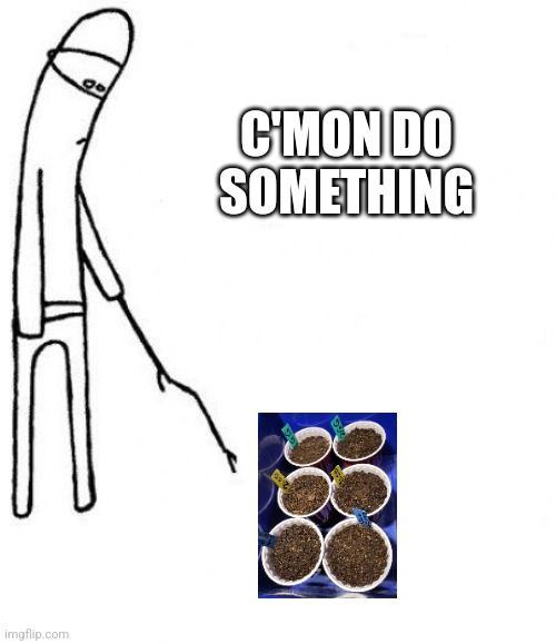 8t8q1g