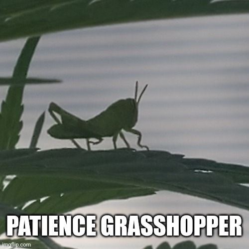8tj8lo