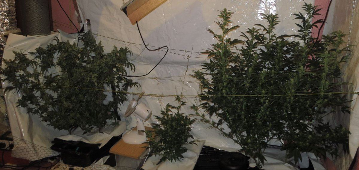 8w