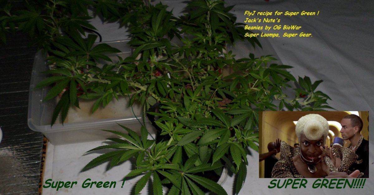 9 2 14UD Flowr 6SupGreen