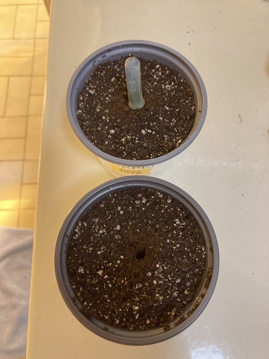 96273798 84A9 454C AF0D 77FF7EF5E5D0