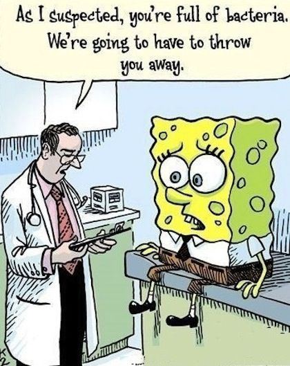 97441517 funny spongebob joke