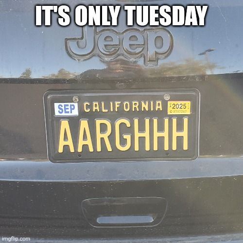 97lwvh