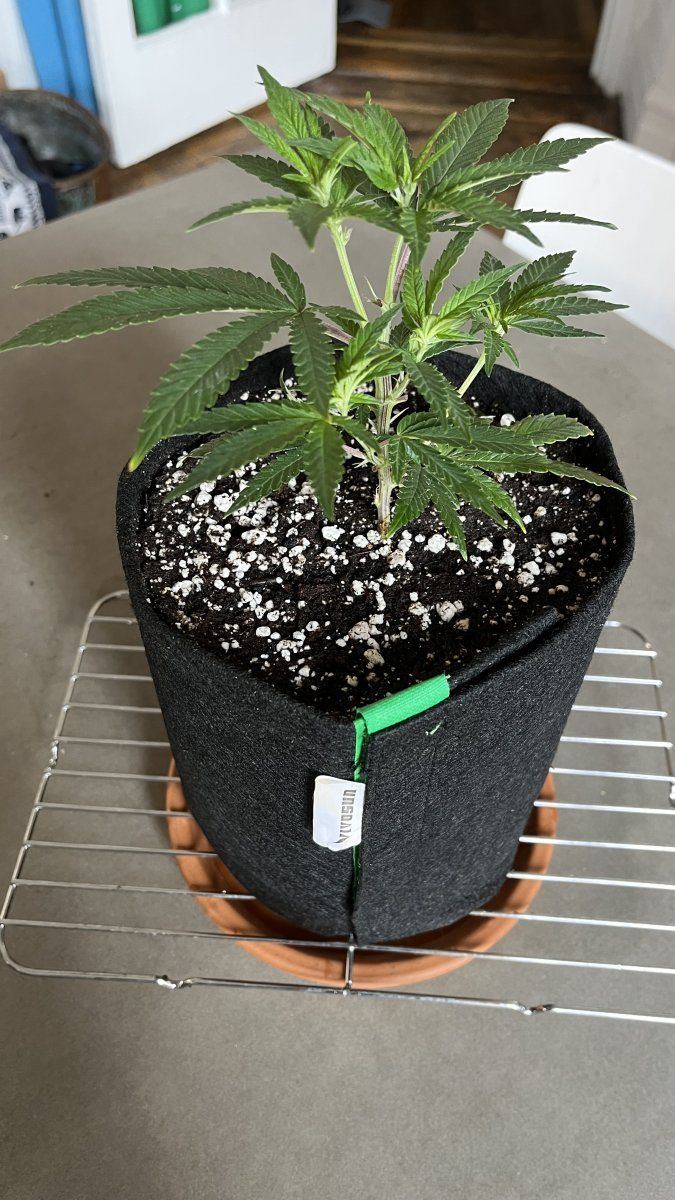 9D6F225A E30C 451E 8747 0B2BAD7F44AC