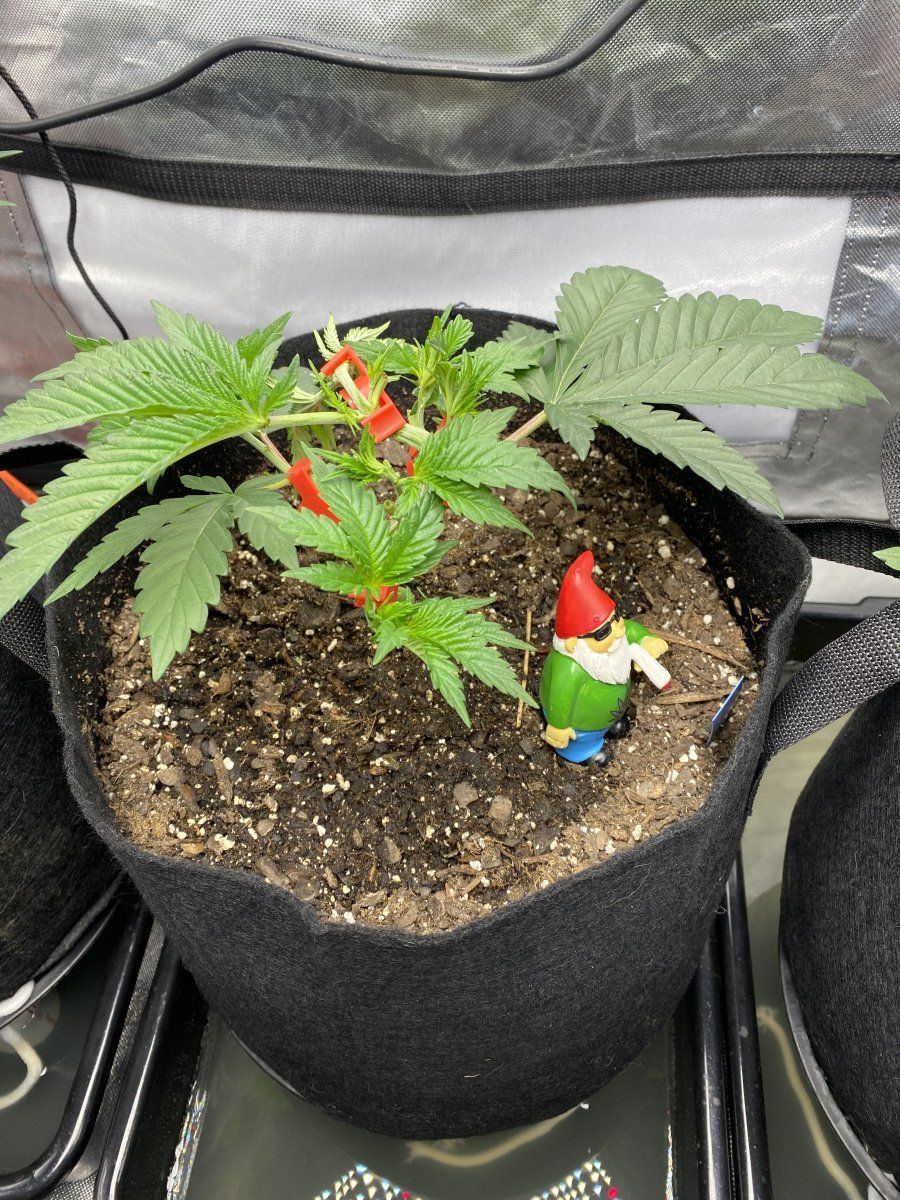 9EA9C12C FF3E 407E 939F 6F3FFCC90C9D