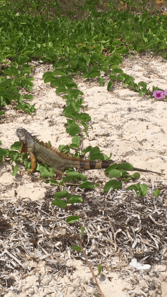 9FB29A93 CA27 4659 A08D FD344673FC36
