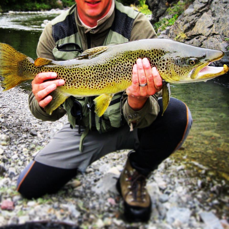 9lb