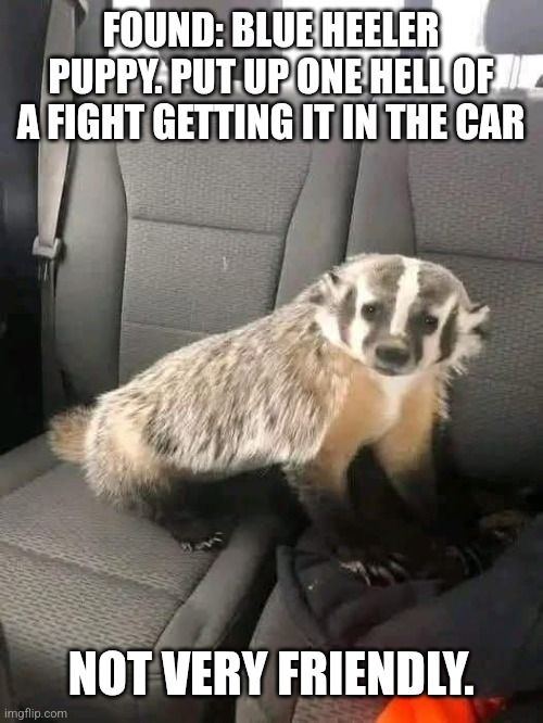 9pynd5