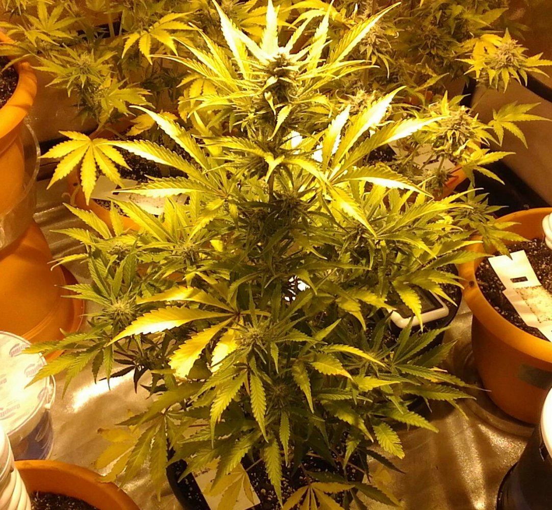  20161026 163659