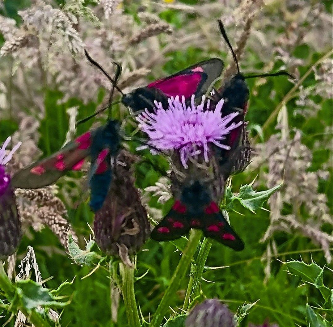  20220511 221809