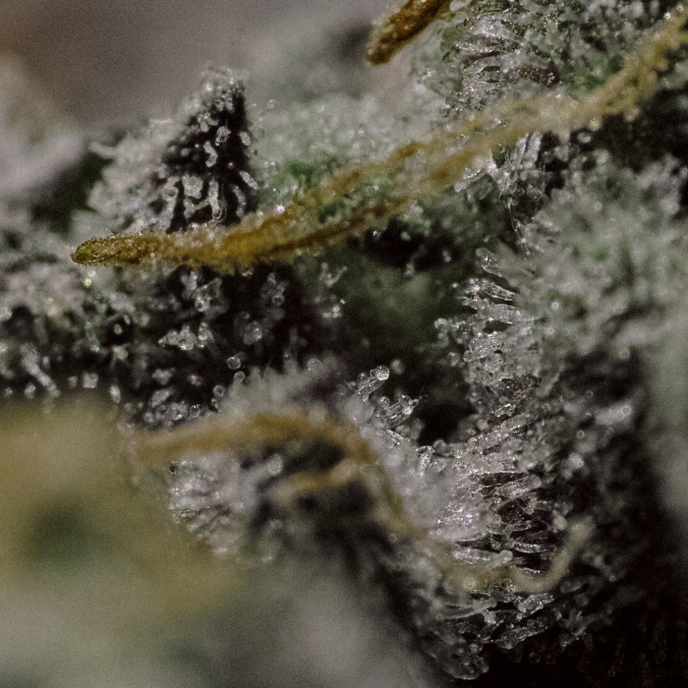  P3M0620