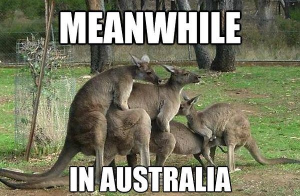Abaa Meanwhile in Australia Kanga