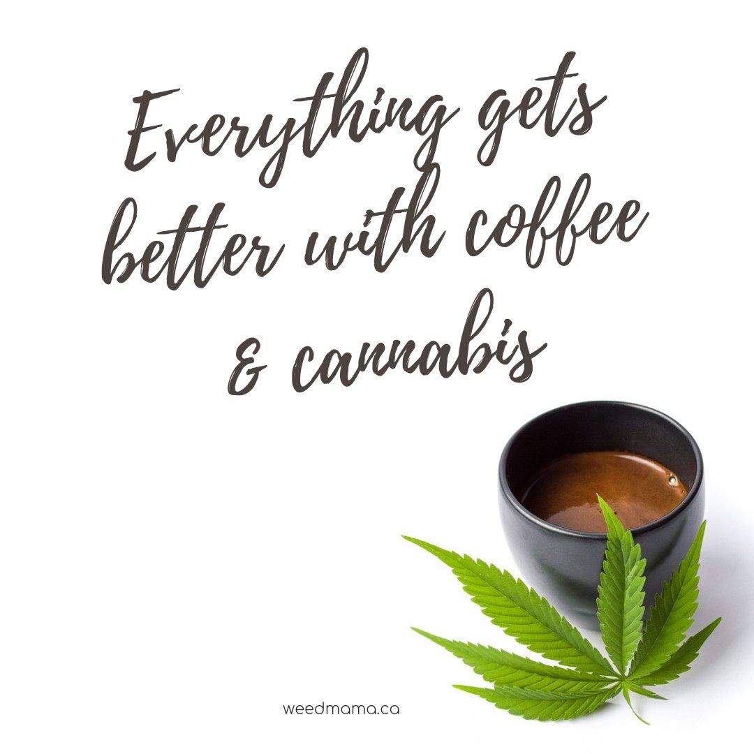 A friend with weed