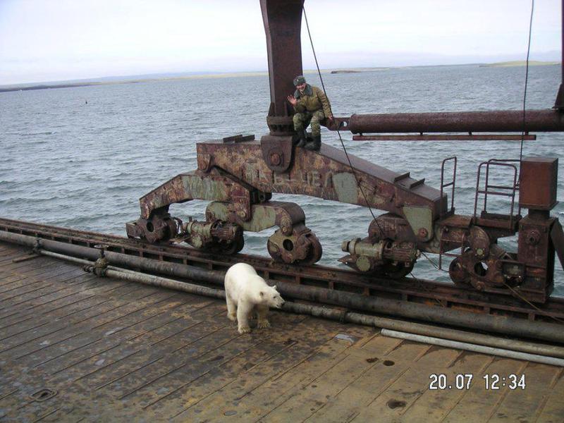 Aaff6639 zps1bk4x1fo