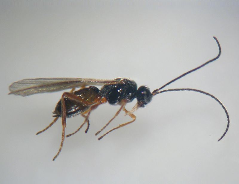 Ab1o1mk