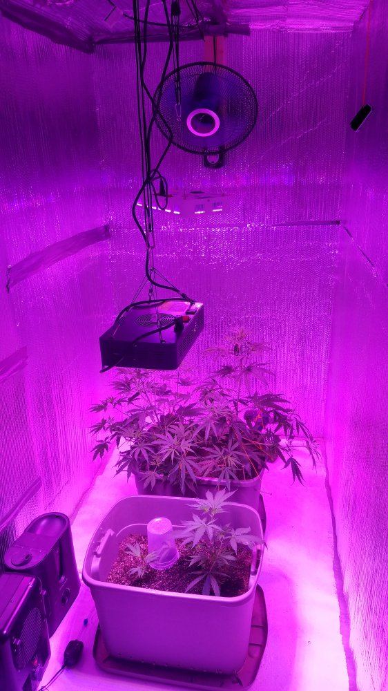 About a days work on my secret grow room 7