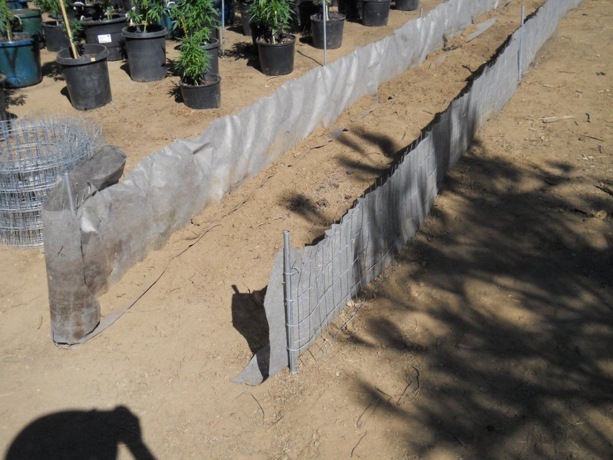 Above ground beds 001