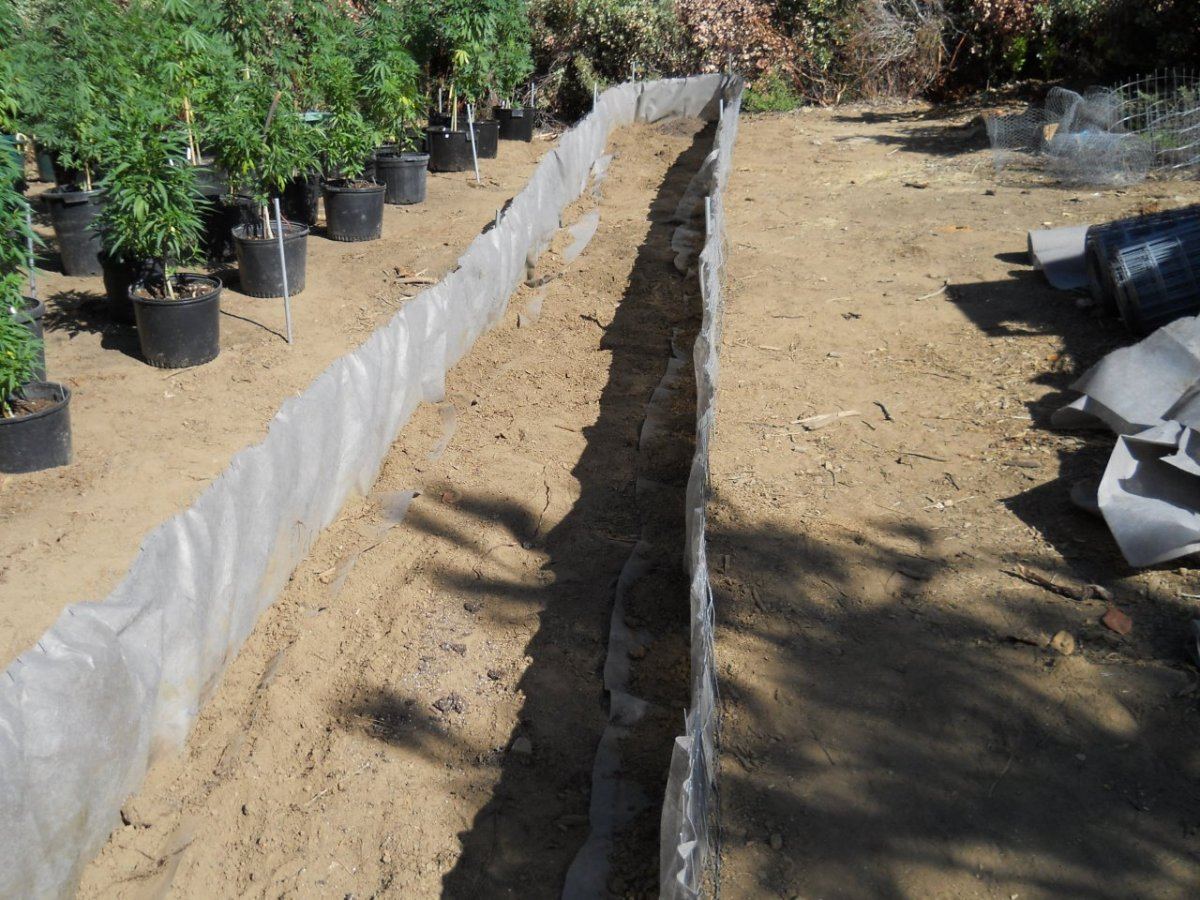 Above ground beds 002