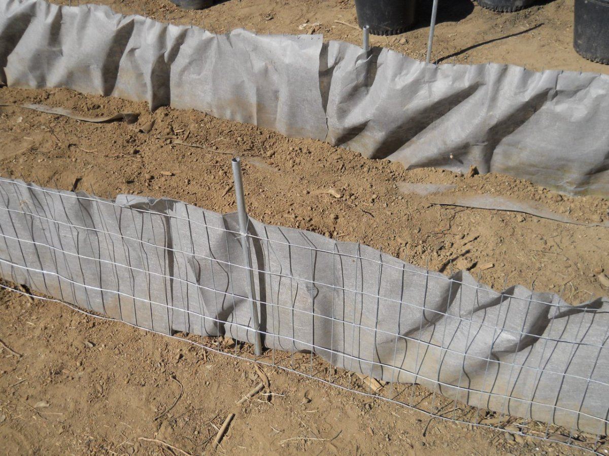 Above ground beds 003