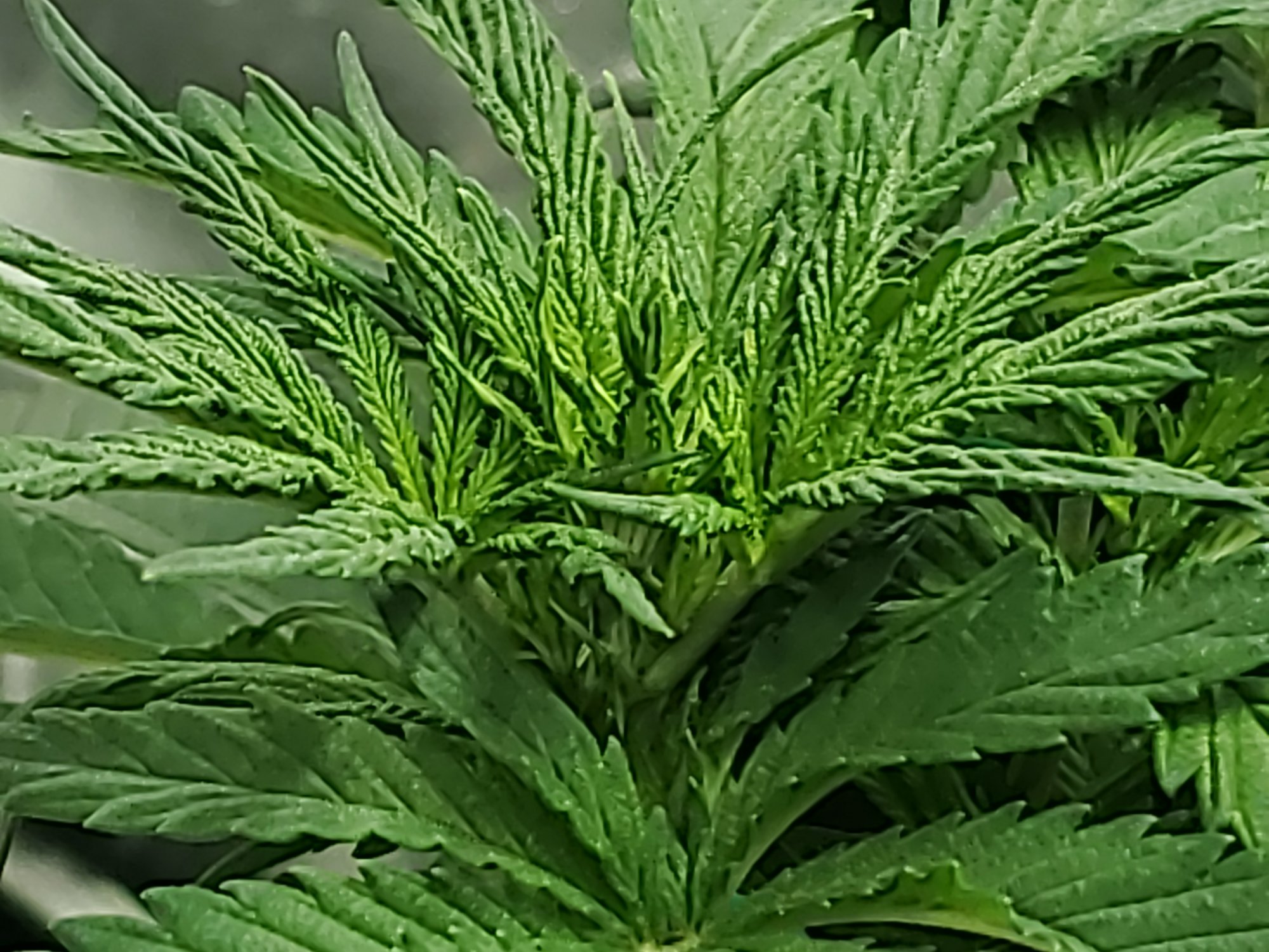 Accidental lst and looking for some guidancepls  ty 3