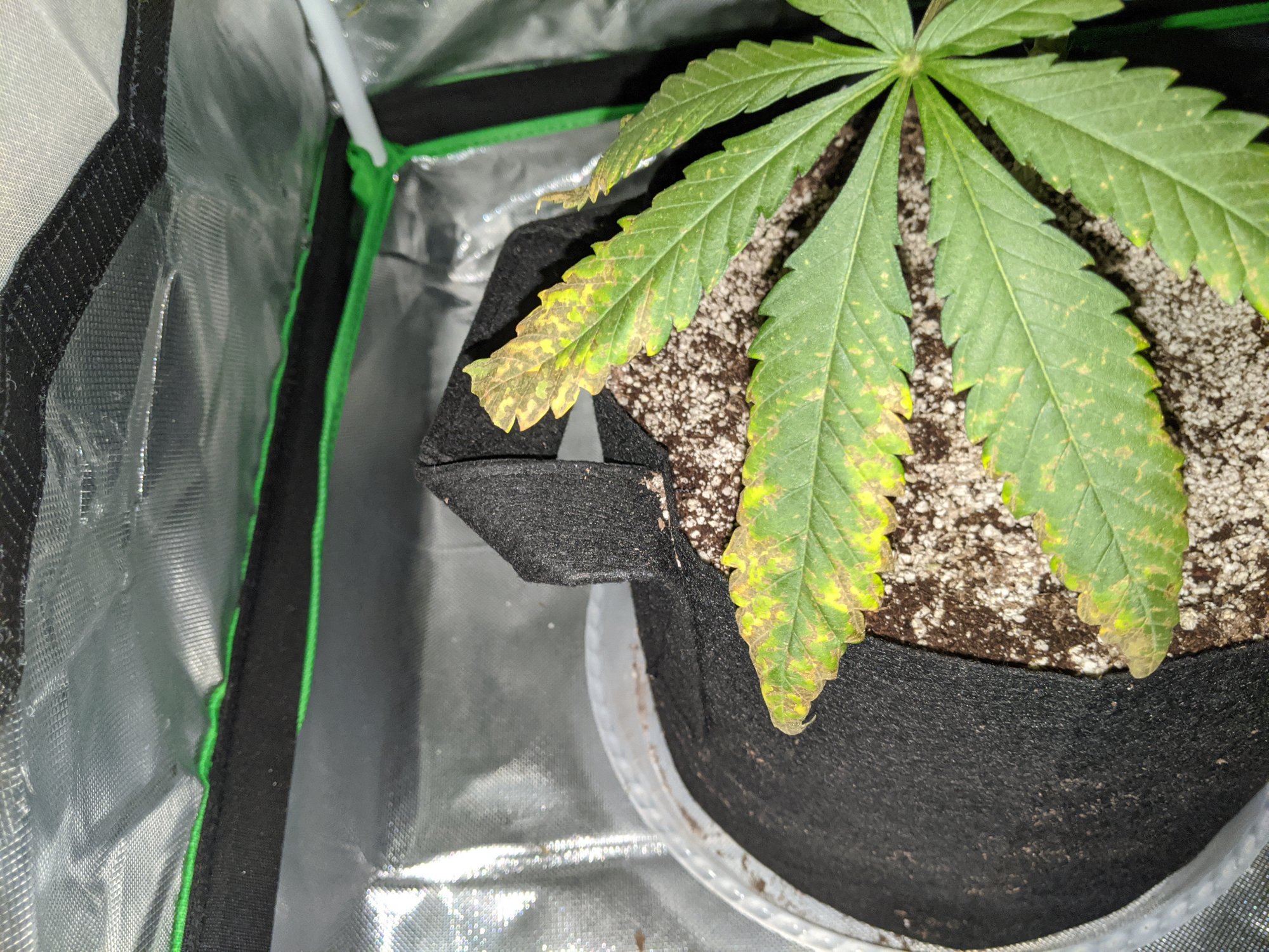 www.thcfarmer.com