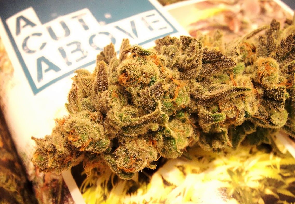 ACutAboveBud