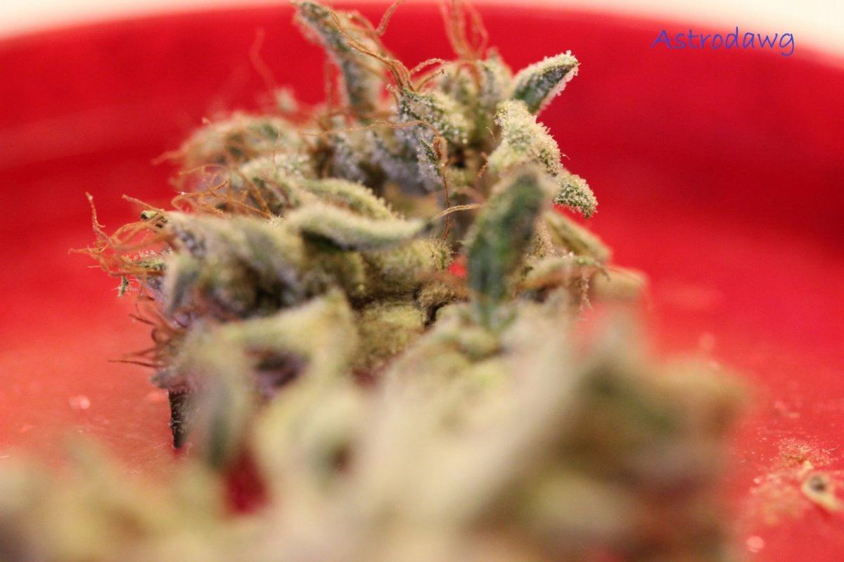 AD macro 1