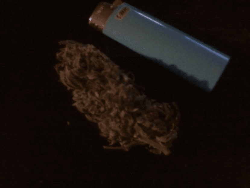 AD x C99 F2seedcomin