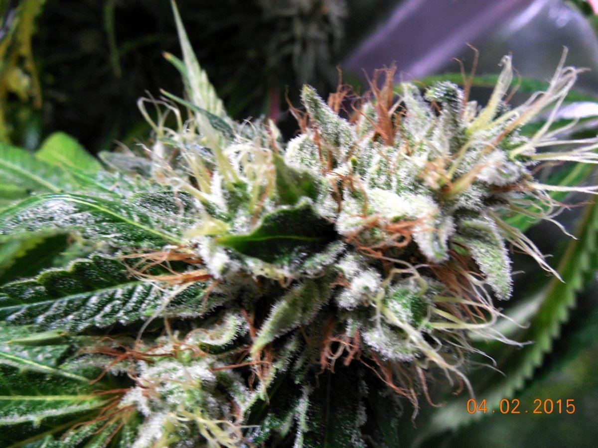 Adscn0282