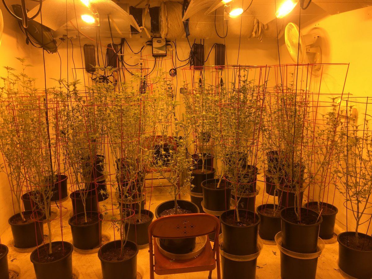 Adub sancho og 6000 way hps sealed room 2