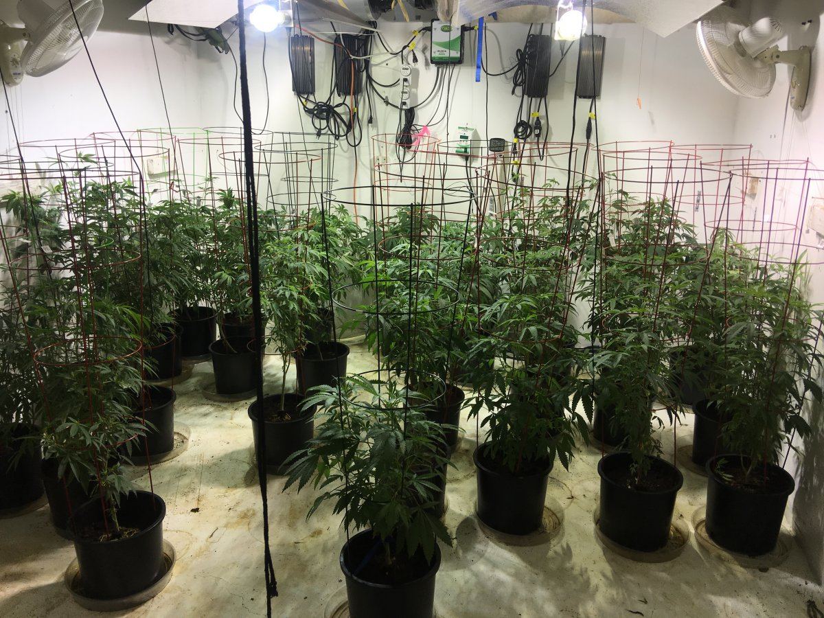 Adub sancho og 6000 way hps sealed room