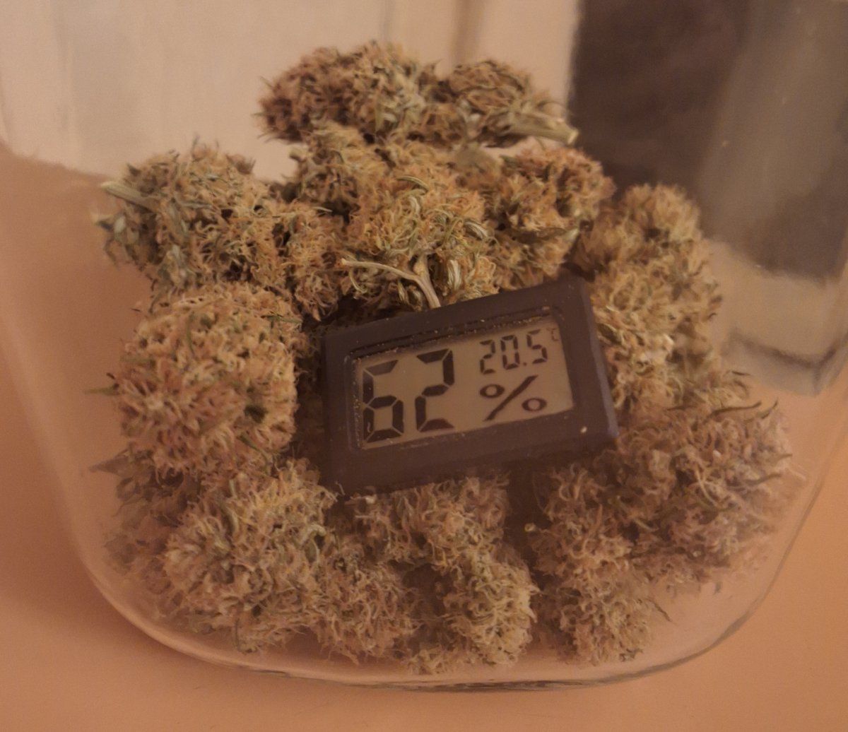 Adventures in low tech drying and curing