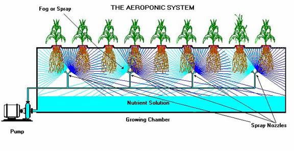 Aeroponics schematic