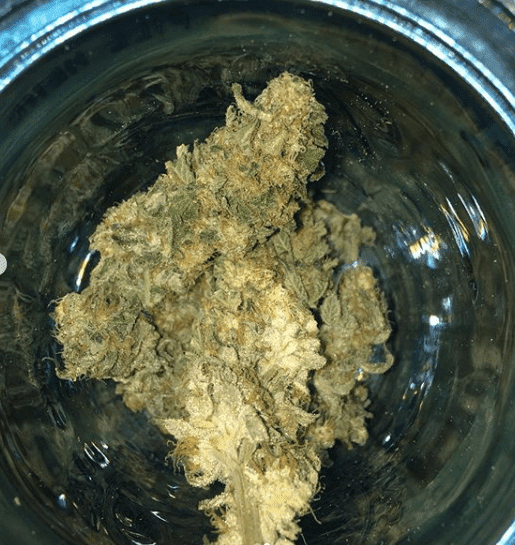 Af 1 bud jar