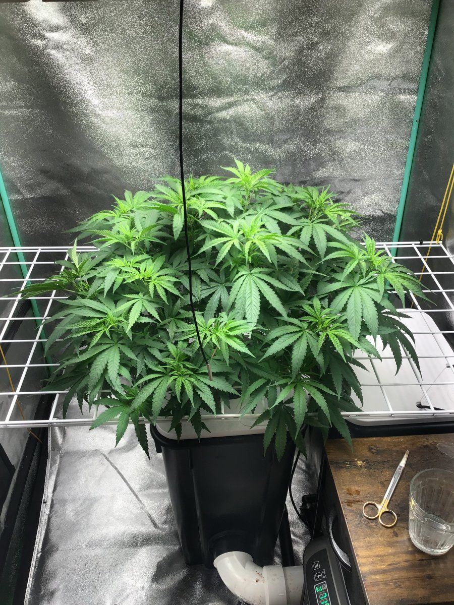AF06CBD3 6E90 495D 9F9C 5041D8C22DEB