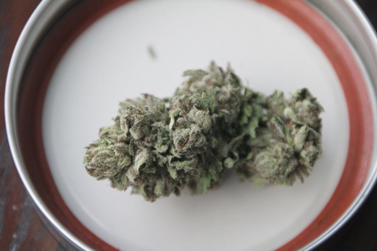 Afghan