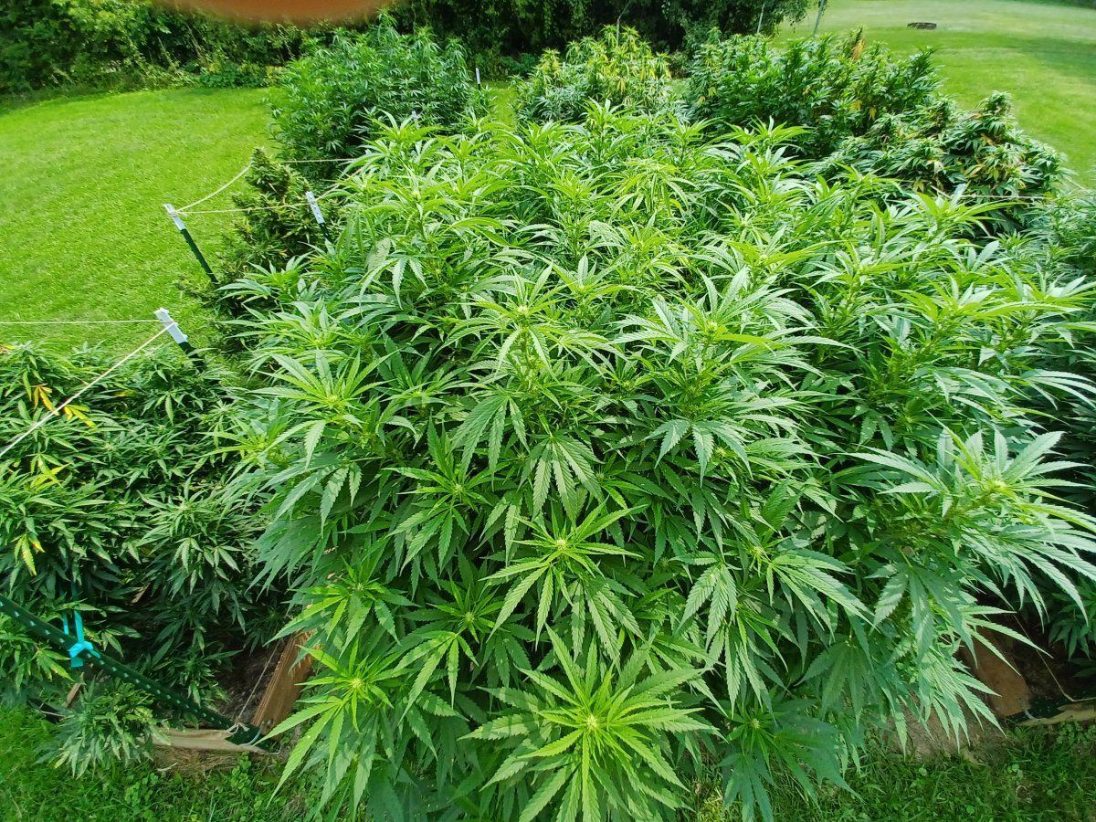 Afghan Outdoor