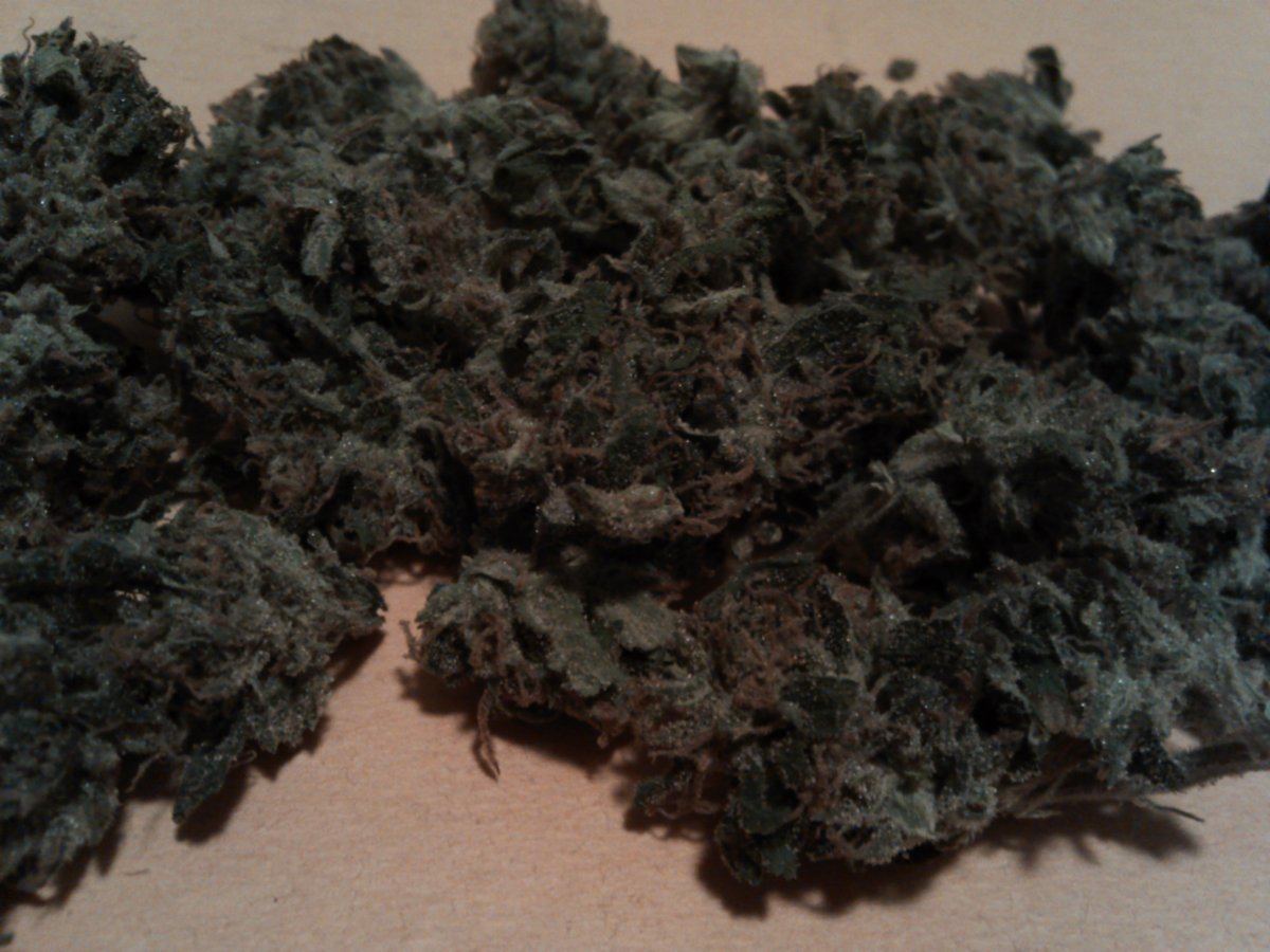Agent orange 2