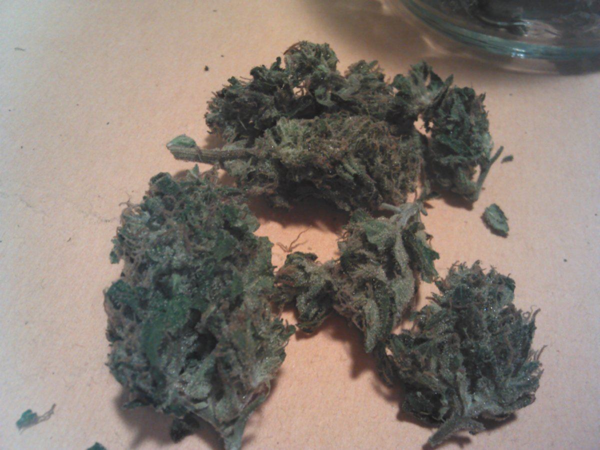 Agent orange 3