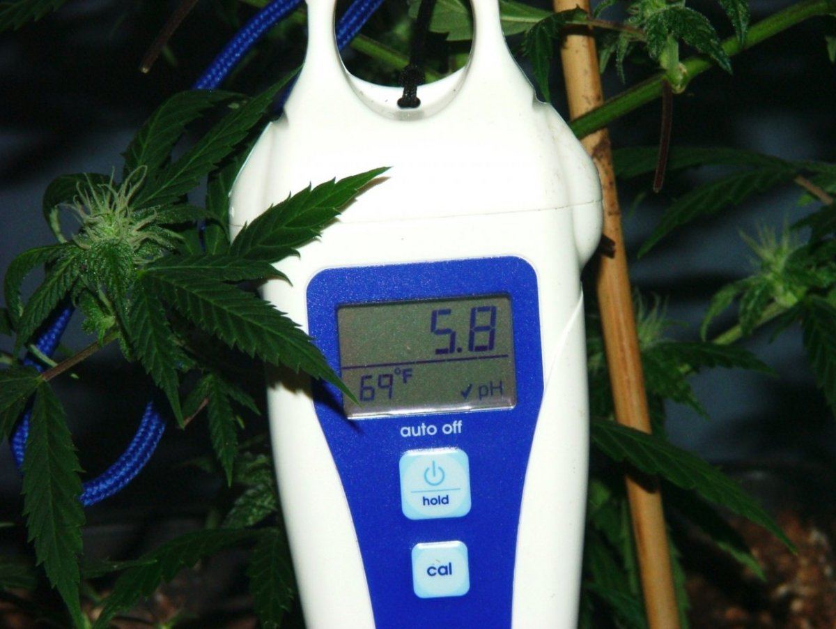 Ak 2