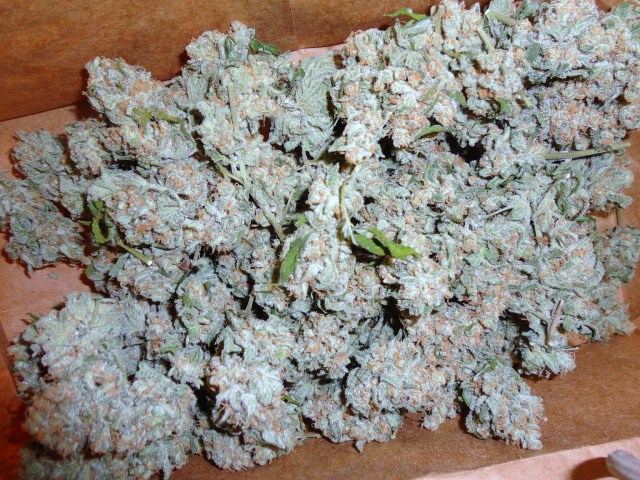 Ak 47 clones from clones